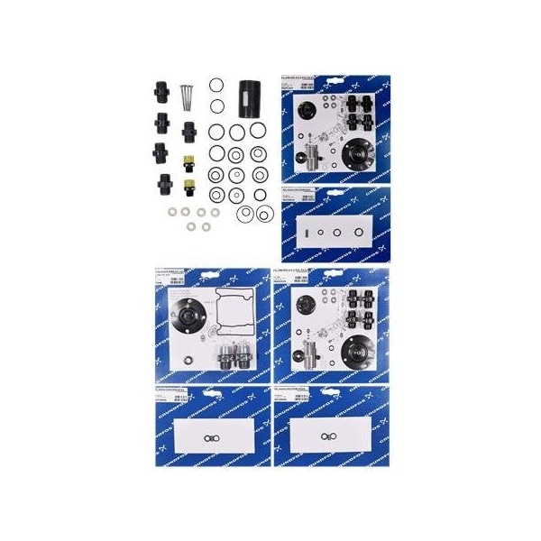 Pump Repair Parts- Kit, maint.ClO2/450g/h/<3bar/>Jan.04, Dosing Pumps.